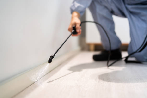 Bed Bug Pre-Treatment Preparation Assessment in Laurium