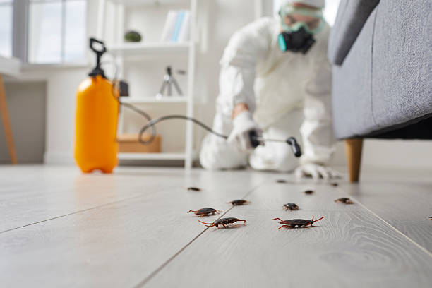 Post-Treatment Bed Bug Interceptor Monitoring in Laurium